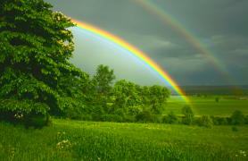 regenbogen 3 liste